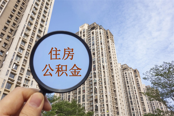 珠海未离职公积金怎么取？在职员工合法提取全攻略，轻松解决住房与应急需求
